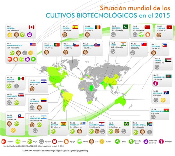 Entre 1996 Y 2015 Se Sembraron Dos Mil Millones De Hectáreas Con ...