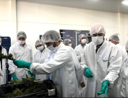 Con #NuestrosAfiliados: Clever Leaves recibe al Gobierno Nacional en sus cultivos de producción de cannabis medicinal