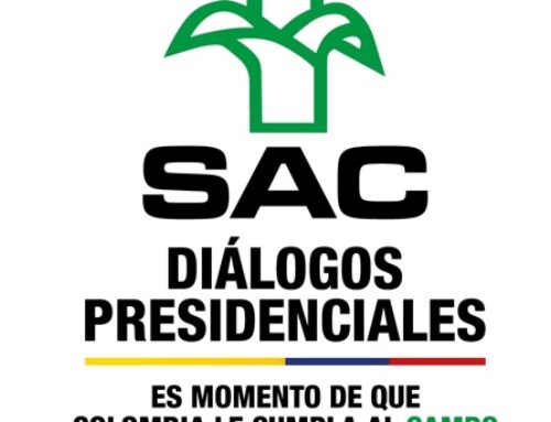 Candidatos: Diálogos Presidenciales (II)