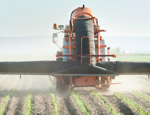 FAO recomienda buscar alternativas a los fertilizantes químicos