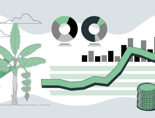 Presupuesto 2024: Arranca la ejecución de una chequera histórica para el sector agropecuario