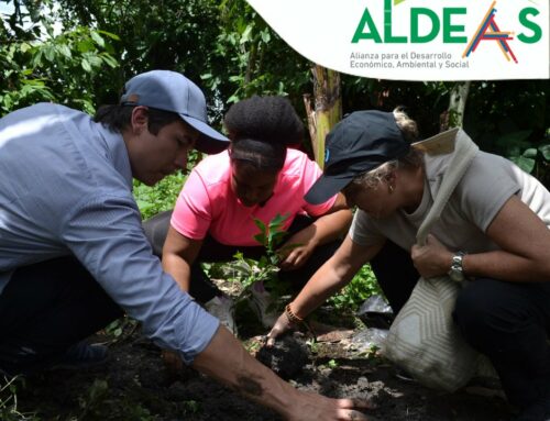 Procaña y su aporte a la seguridad alimentaria con la Alianza por el Desarrollo Económico, Social y Ambiental – ALDEAS
