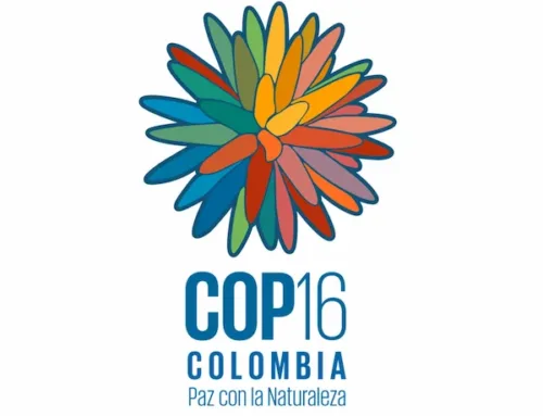 COP16: ¿Cómo llegó la agricultura a la agenda del Convenio sobre Diversidad Biológica?