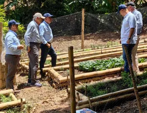 Centro de Educación Ambiental – Parque de las Heliconias