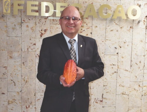 Día mundial del cacao: El fruto que transforma territorios y familias