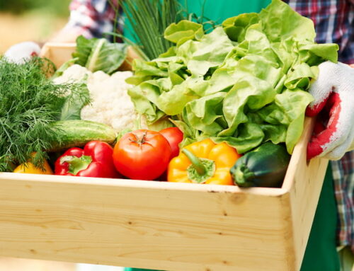 La buena nutrición comienza en nuestro campo