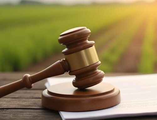 Demanda del director de la ANT contra el Decreto ley 902 y la fase judicial de los procesos agrarios