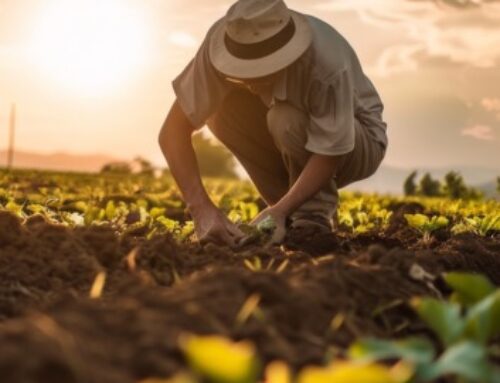 ¿Qué dicen los candidatos a las consultas presidenciales sobre los retos del campo?