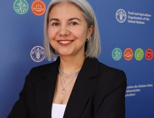 2026: Año Internacional De La Agricultora