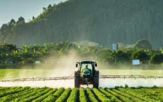 El nuevo gobierno y los retos para el campo colombiano