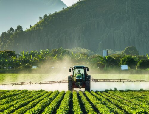 El nuevo gobierno y los retos para el campo colombiano
