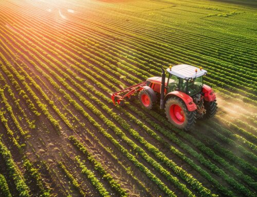 El agro pierde ritmo: balance económico del primer semestre de 2026
